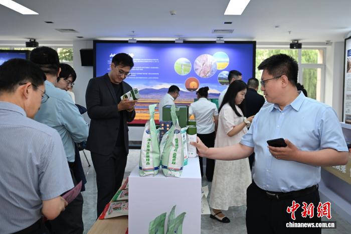 聚焦2026世界杯：赛程、数据与热门看点 - 米兰体育